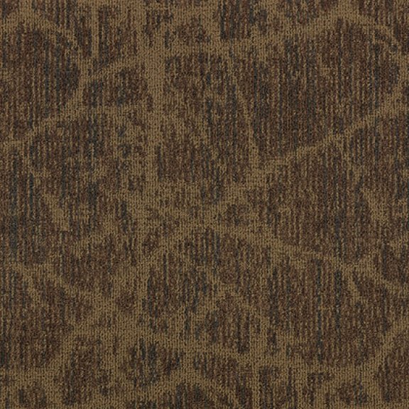 Canopy II Broadloom Carpet Mannington Commercial