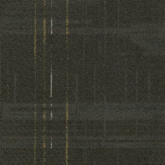 Media Modular Carpet Mannington Commercial