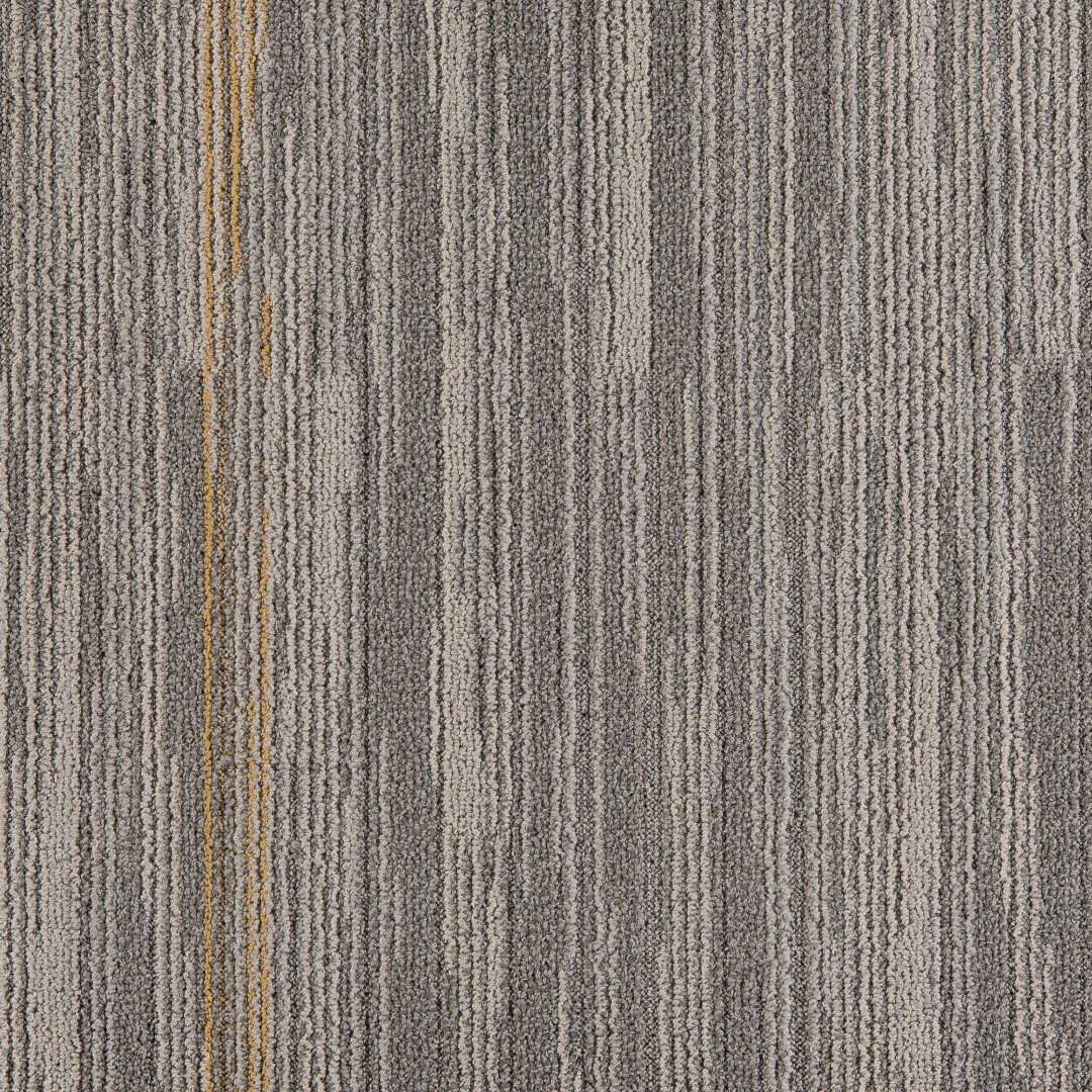 Outline Modular Carpet Mannington Commercial