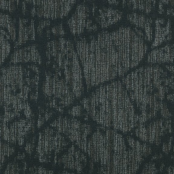 Canopy II Broadloom Carpet Mannington Commercial