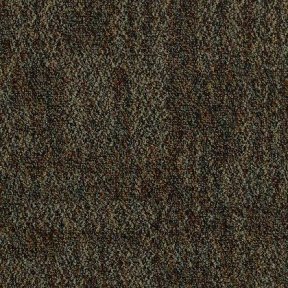 Halftime Broadloom Carpet Mannington Commercial