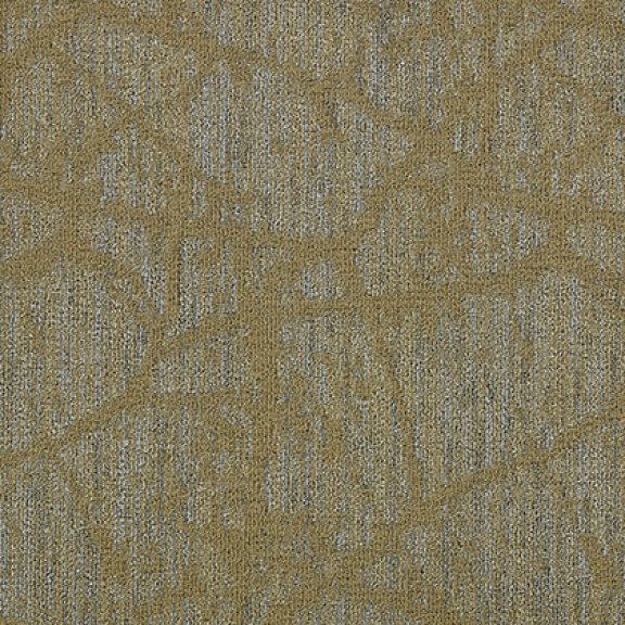 Canopy II Broadloom Carpet Mannington Commercial