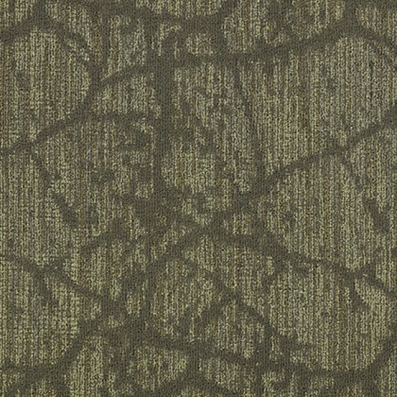 Canopy II Broadloom Carpet Mannington Commercial