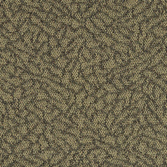 Means Iii Modular Carpet Mannington Commercial