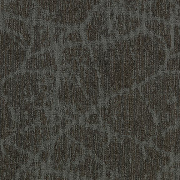 Canopy II Broadloom Carpet Mannington Commercial