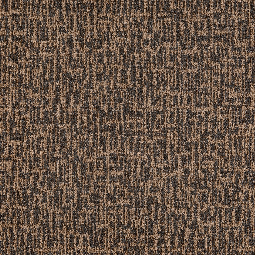 Sketch Modular Carpet Mannington Commercial